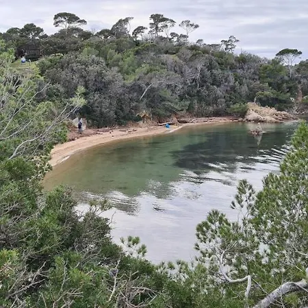 O Salins Apartment Hyeres