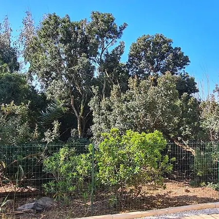 Apartment O Salins