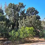 Apartman O Salins