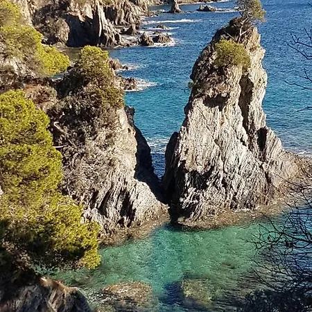 公寓 O Salins